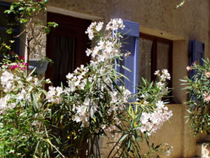 entr&eacute;e de la location lavande