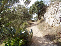 Le chemin du Clos