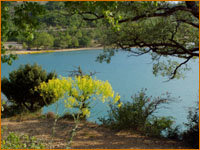 Sur les rives du lac de ste croix du verdon