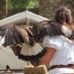Fête médiévale à Moustiers