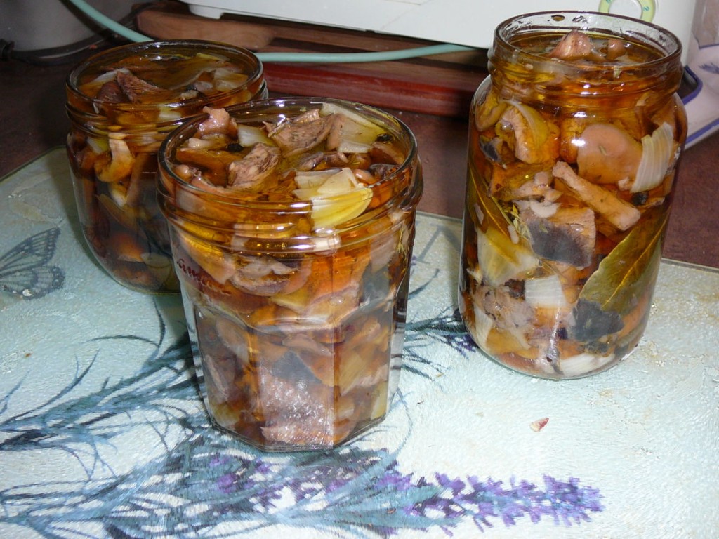 bocaux cuisinés de champignons